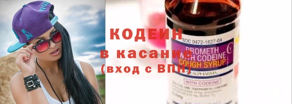 ешки Гусев