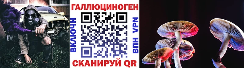 Купить где  Бежецк  Галлюциногенные грибы ЛСД 